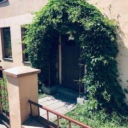 Apartamentai Klaipedos Senamiestyje クライペダ エクステリア 写真